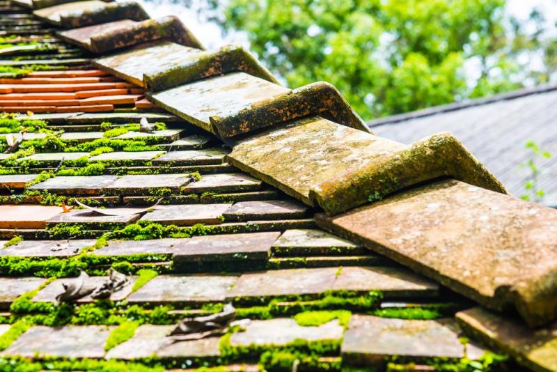 Traitement de toiture : prot&eacute;gez votre maison de l'humidit&eacute;